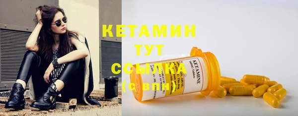 индика Сосновый Бор