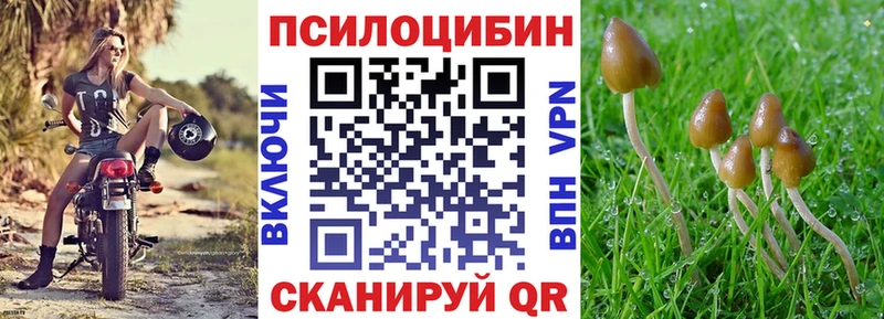 купить  цена  Володарск  Галлюциногенные грибы GOLDEN TEACHER 